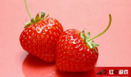 小草莓视频,探秘草莓园的甜蜜之旅